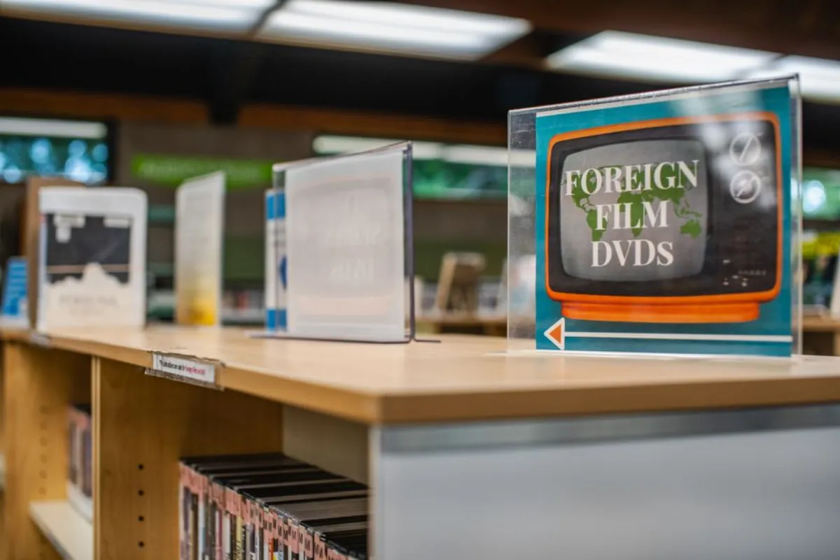 dvd shelves